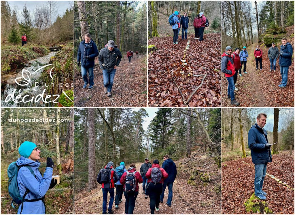 Le comité de management de PDV Papeterie des Vosges bénéficie d'un accompagnement outdoor business coaching avec D'un pas Décidez